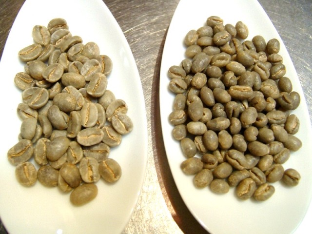 peaberry